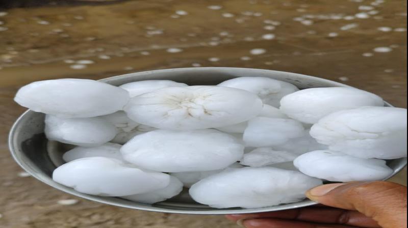 Bathinda Hailstorm, Farmers disappointed due to weather, hailstorm in Punjab news in hindi