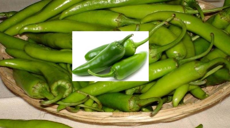 Green chilli is beneficial for health, know its benefits news in hindi