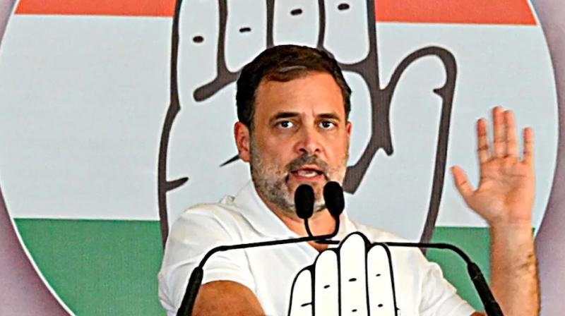 Rahul Gandhi claimed 295 seats news in hindi