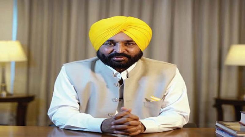 CM Bhagwant Mann asked to ensure smooth, hassle-free paddy procurement