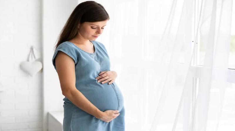 How sex hormones during pregnancy prepare the brain for motherhood: New research reveals