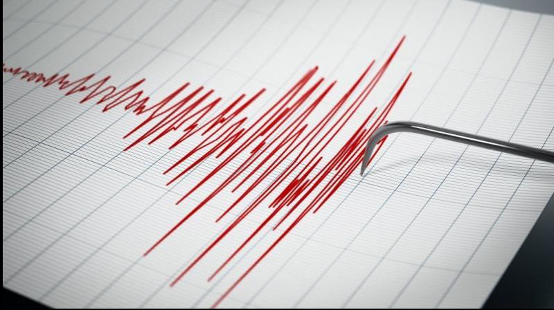  4.8 magnitude earthquake hits New York news in hindi