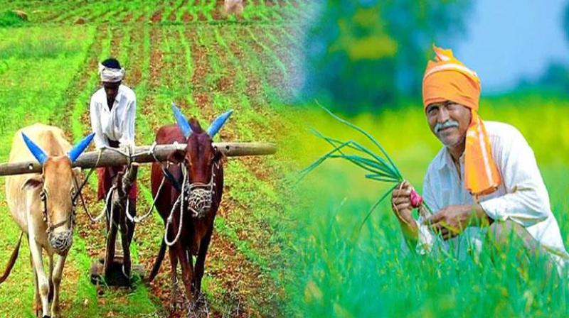Free canteen for farmers going to government mandis in Odisha