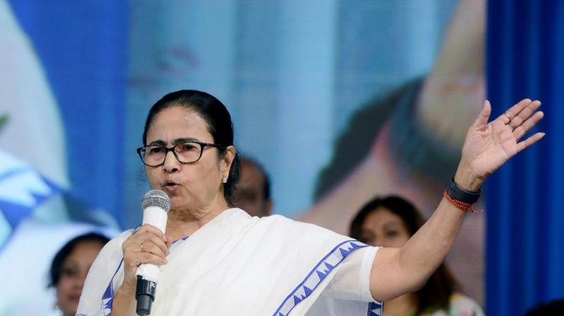 Mamata Banerjee's big allegation, 'BJP is buying votes by paying' news in hindi