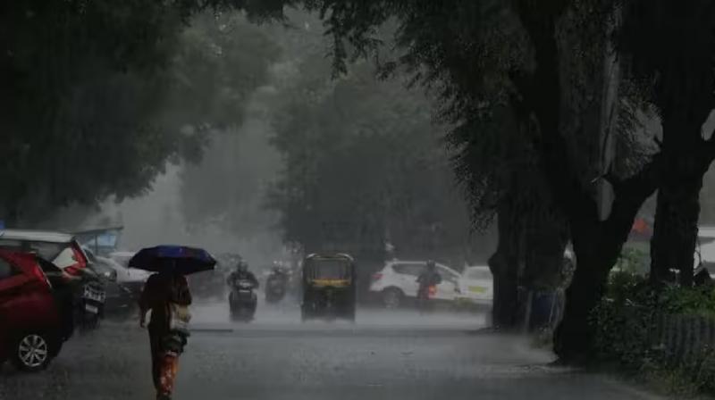 Heavy rain forecast in many districts of Gujarat news in hindi