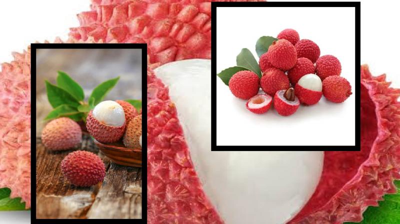 many benefits of eating litchi which is rich in properties news in hindi