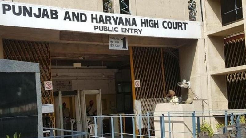 Punjab-Haryana High Court objection on appointments of retired officers news in hindi