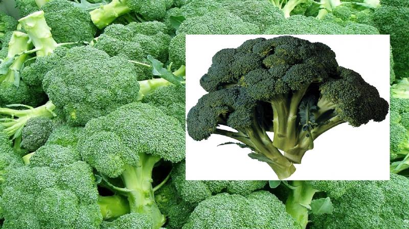 Broccoli vegetable is beneficial for health news in hindi