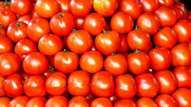 Tomato prices fall sharply in Karnataka, tomato becomes Rs 20 per kg
