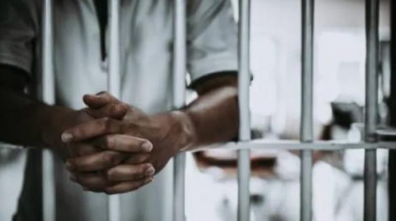 Maharashtra: Five years imprisonment for the convict in the case of death during the fight