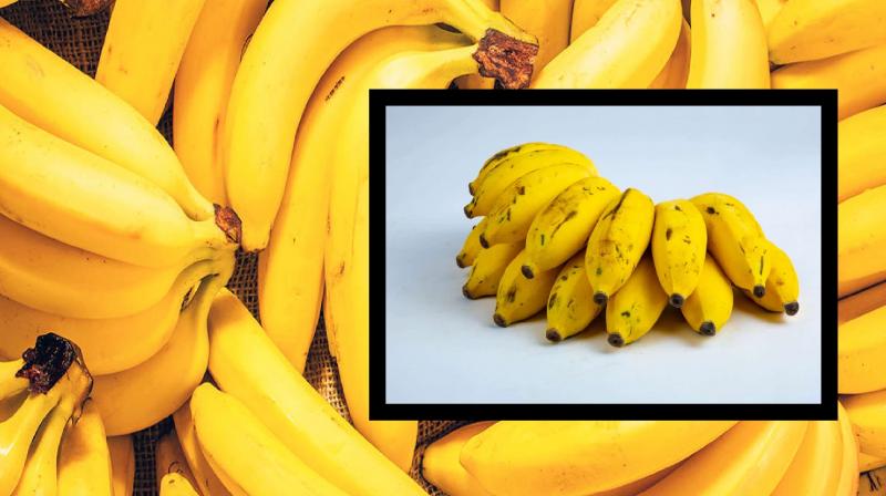 Banana is beneficial for our health latest news in hindi