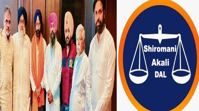 Shiromani Akali Dal will contest Lok Sabha elections from Chandigarh seat 