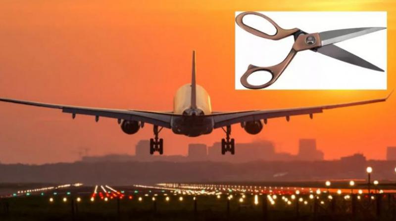 Scissors Go Missing Japan Airport Flights Canceled News in Hindi 