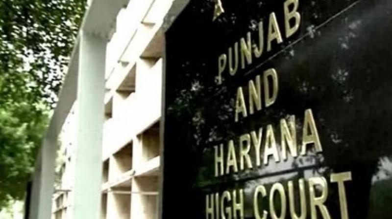 Punjab-Haryana High Court summoned Centre, Punjab, Haryana, Chandigarh on Protection of Women from Domestic Violence Act