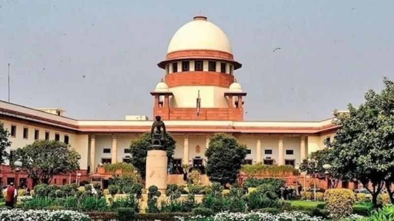 Supreme Court bans bulldozer action news in hindi