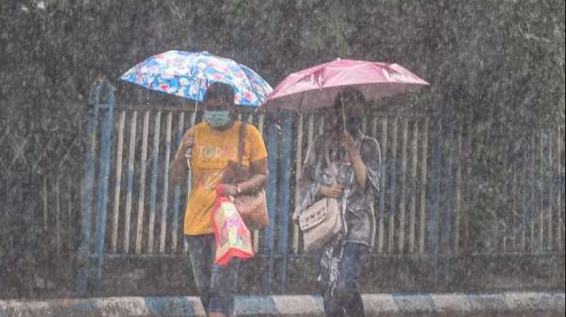Kolkata received 21.8 mm rainfall, Meteorological Department predicted more rain till Saturday