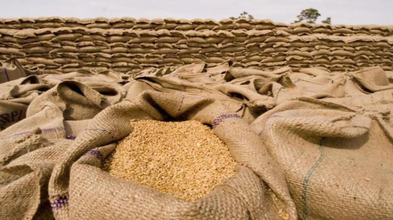 The arrival of wheat in the mandis of Punjab crossed 10 million tonnes.