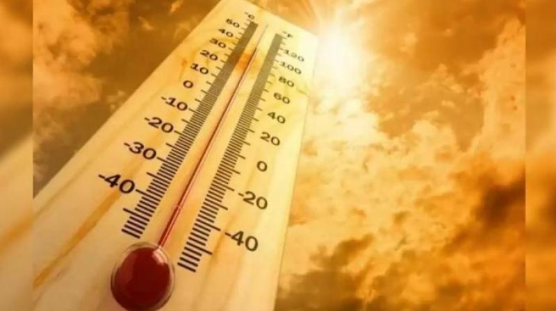 Severe heat in Punjab, 19 year old youth dies news in hindi