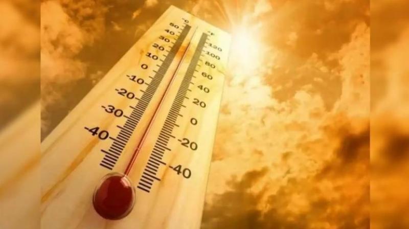 Heat wave in Gujarat, Meteorological Department issues red alert news in hindi