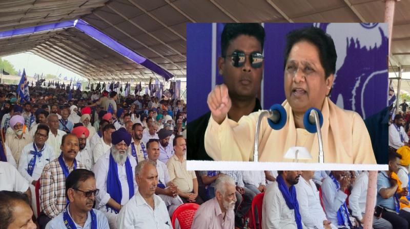 BSP supremo Mayawati reached Punjab news in hindi