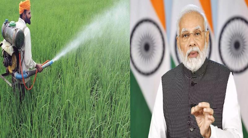 Unnecessary to set a global target to reduce pesticides: India