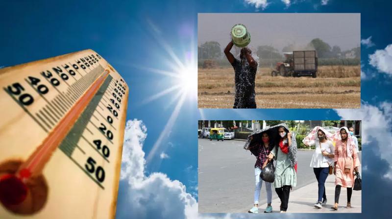 Heat is intense in Punjab, temperature crosses 46 degrees 