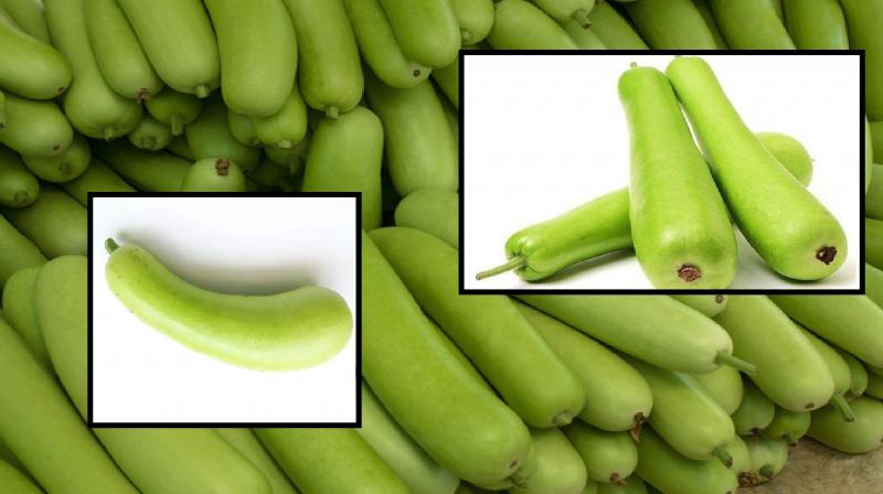 many benefits of eating bottle gourd in summer news in hindi