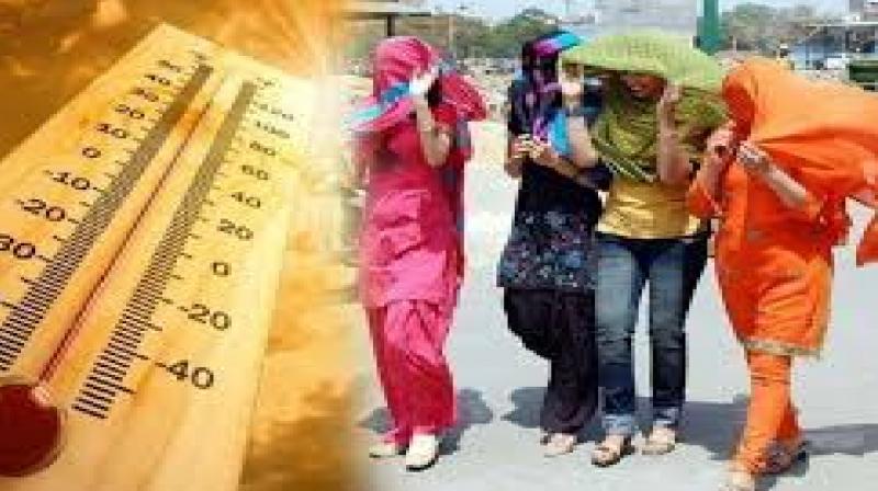 Punjab Weather Update news in hindi heat wave alert