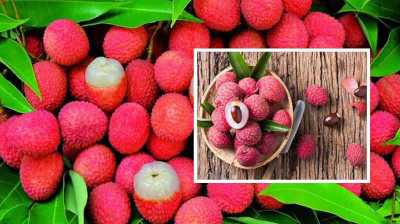 Litchi is good in summers, many benefits of litchi news in hindi