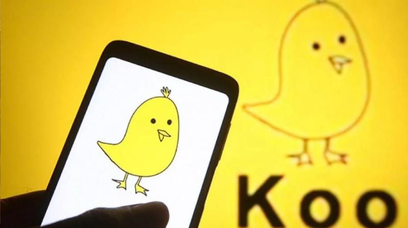 Indian micro blogging social media platform 'Koo' shut down News In Hindi