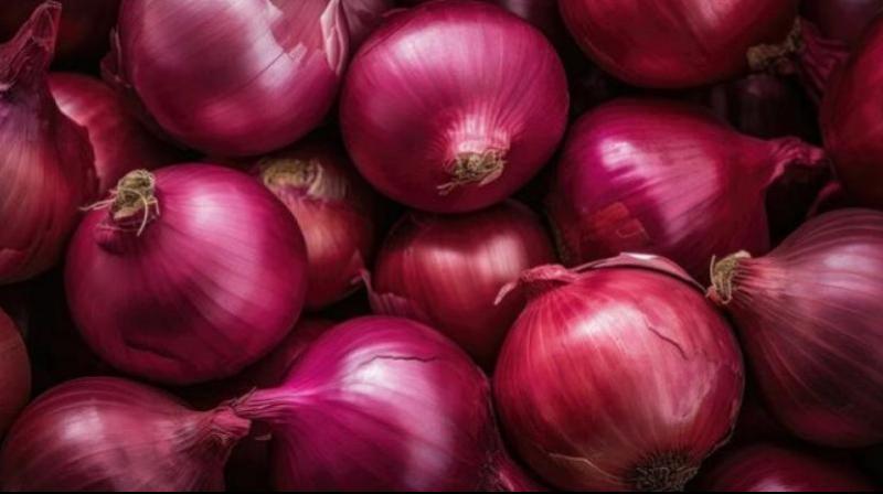 Center gives permission to export 99,150 tonnes of onion to six countries News In Hindi