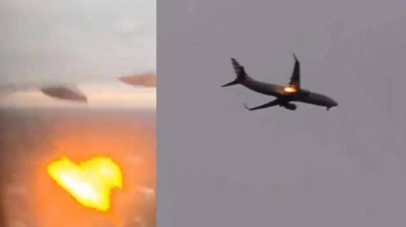 The plane caught fire after hitting the bird, watching the video will give you goosebumps