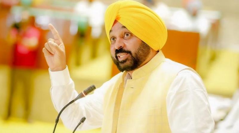 CM Bhagwant Mann's big announcement, Panchayat will get Rs 5 lakh if ​​elected unanimously