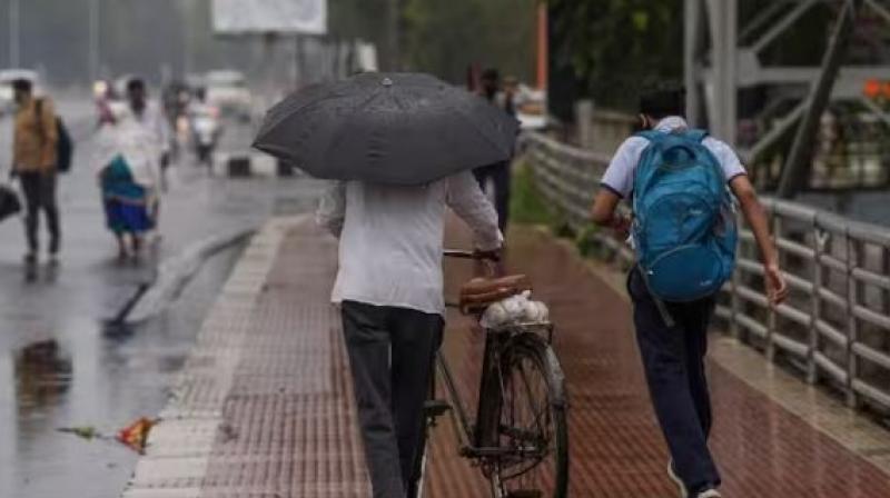 Monsoon rains expected to be below normal in June: IMD