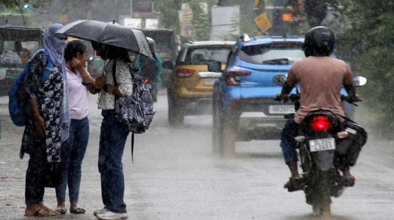 Punjab Weather Update Today News In Hindi rain yellow alert (सांकेतिक तस्वीर)