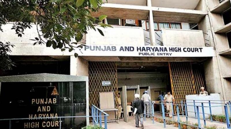 Punjab and Haryana High Court: Court sentences accused to 10 years in drug trafficking case