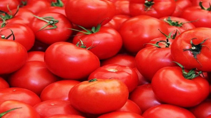 Tamil Nadu government will sell tomatoes through ration shops