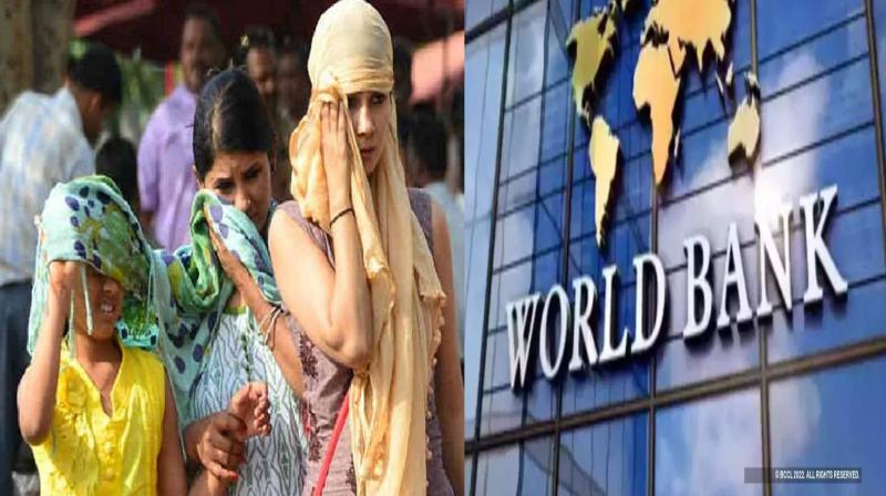 Such a heat is coming in India, which will be out of human tolerance: World Bank Report