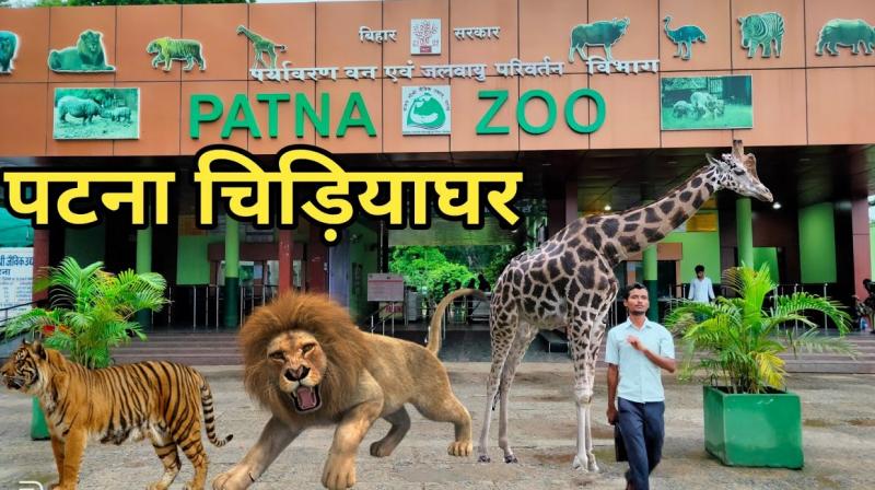 Patna zoo to get bison, zebra, dhole and black swan from Mysore under animal exchange program