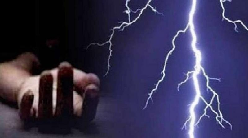TMC worker died due to lightning