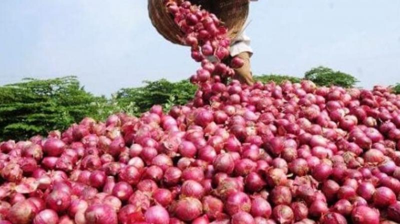 Onion auction begins at APMC in Nashik after traders call off strike
