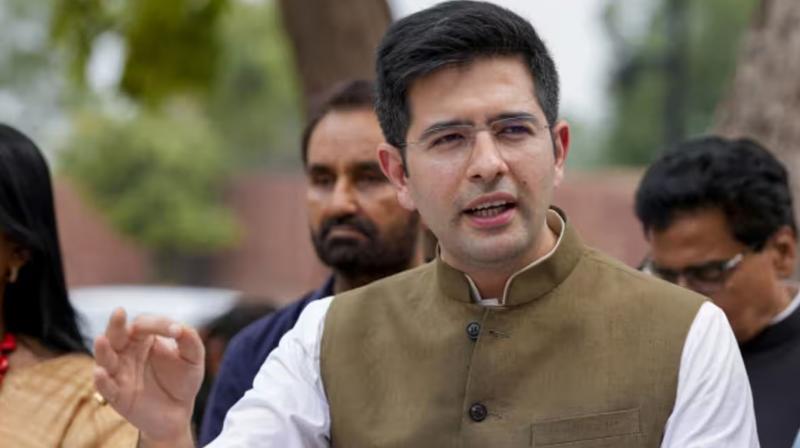 Raghav Chadha(FILE PHOTO)