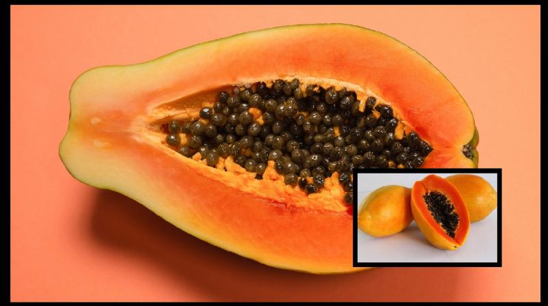 Papaya seeds are very beneficial for heart patients News in hindi