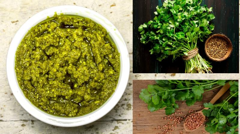 make delicious coriander bharta at home news in hindi