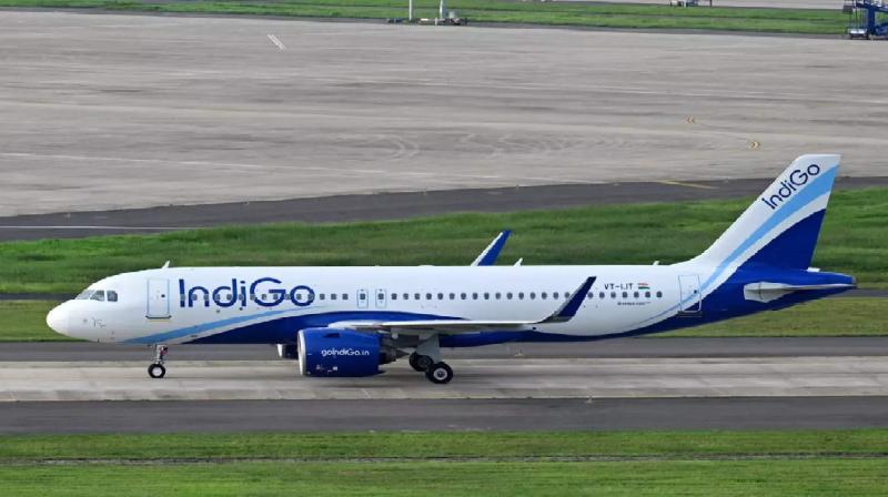Indigo flight bomb threat latest arrest news in hindi