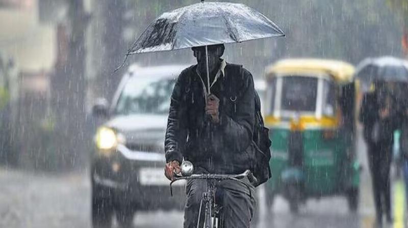 Rain enters Junagadh district, heavy rain in Vanthali news in hindi