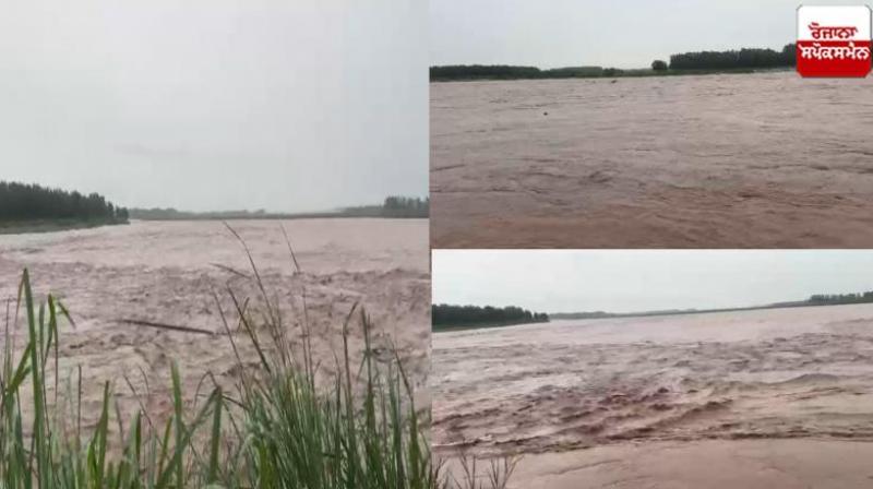 Water level of Ravi river rises in Punjab, connectivity of 7 villages lost news in hindi