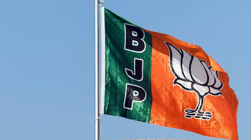 BJP candidate Rajinder Sharma elected as Deputy Mayor of Chandigarh News In Hindi