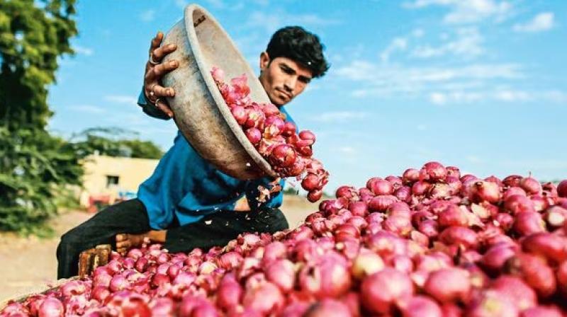 India allowed to export 64,400 tonnes of onion to UAE, Bangladesh News In Hindi