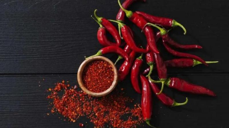 Red chilli is beneficial for weight loss and other diseases news in hindi